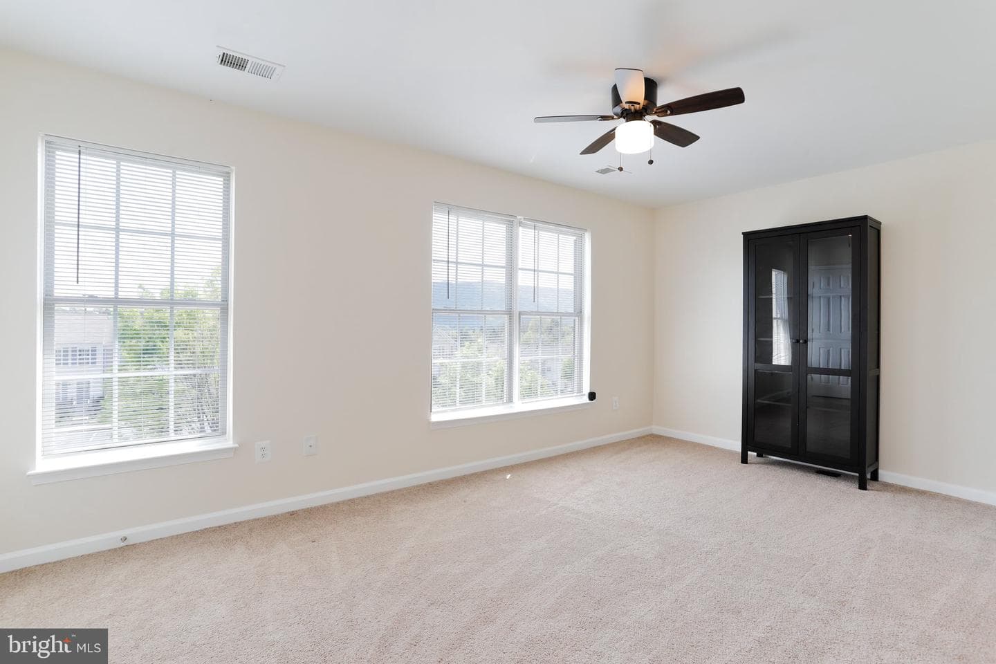 509 Frontier Fort Lane photo 29