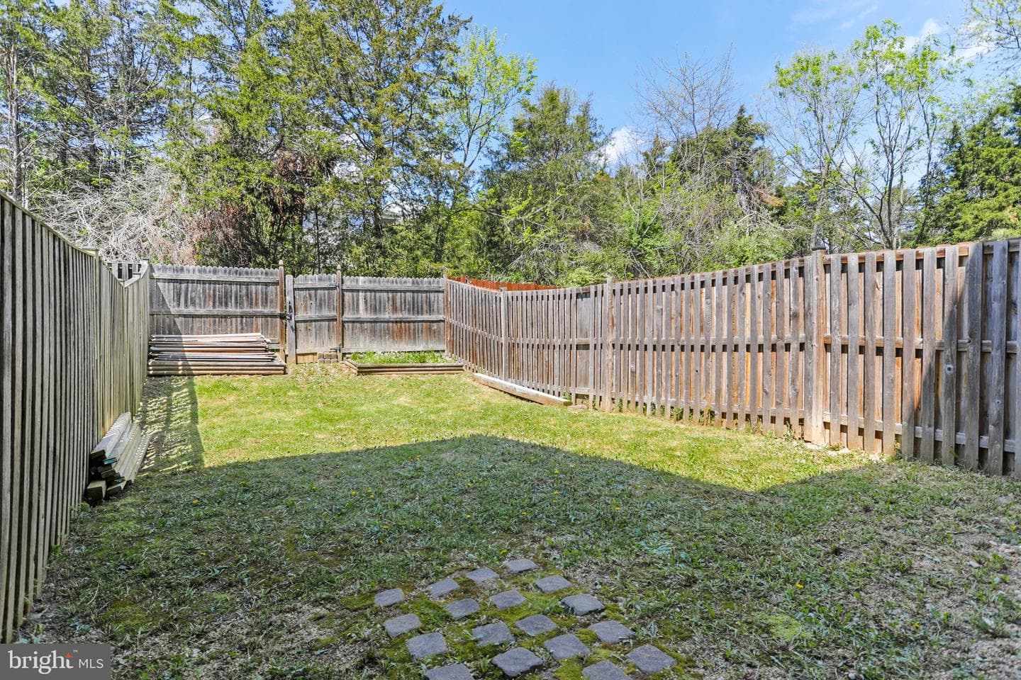 509 Frontier Fort Lane photo 4