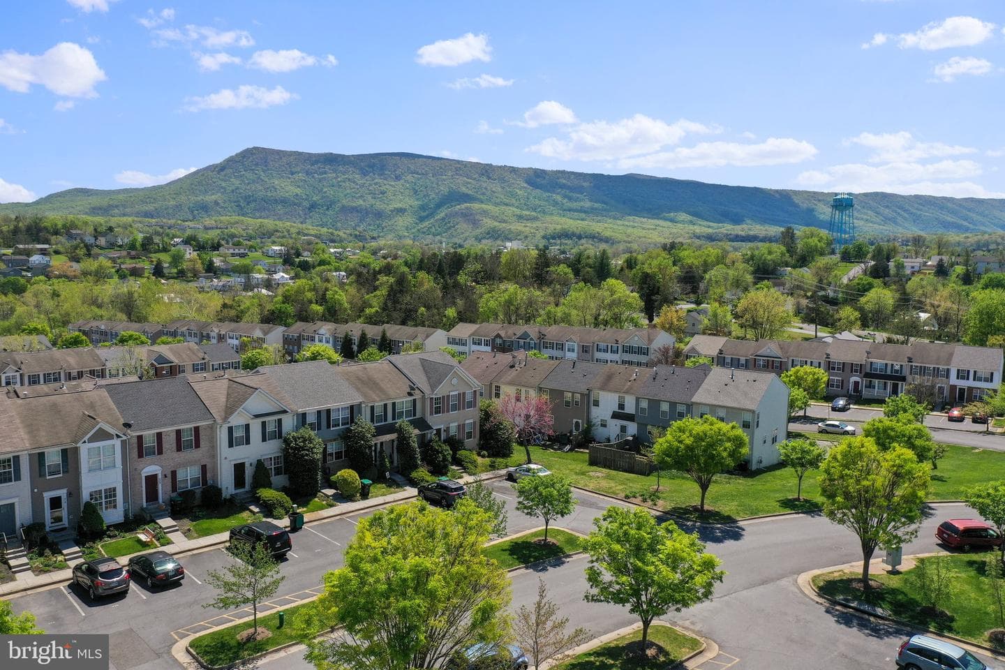 509 Frontier Fort Lane photo 40