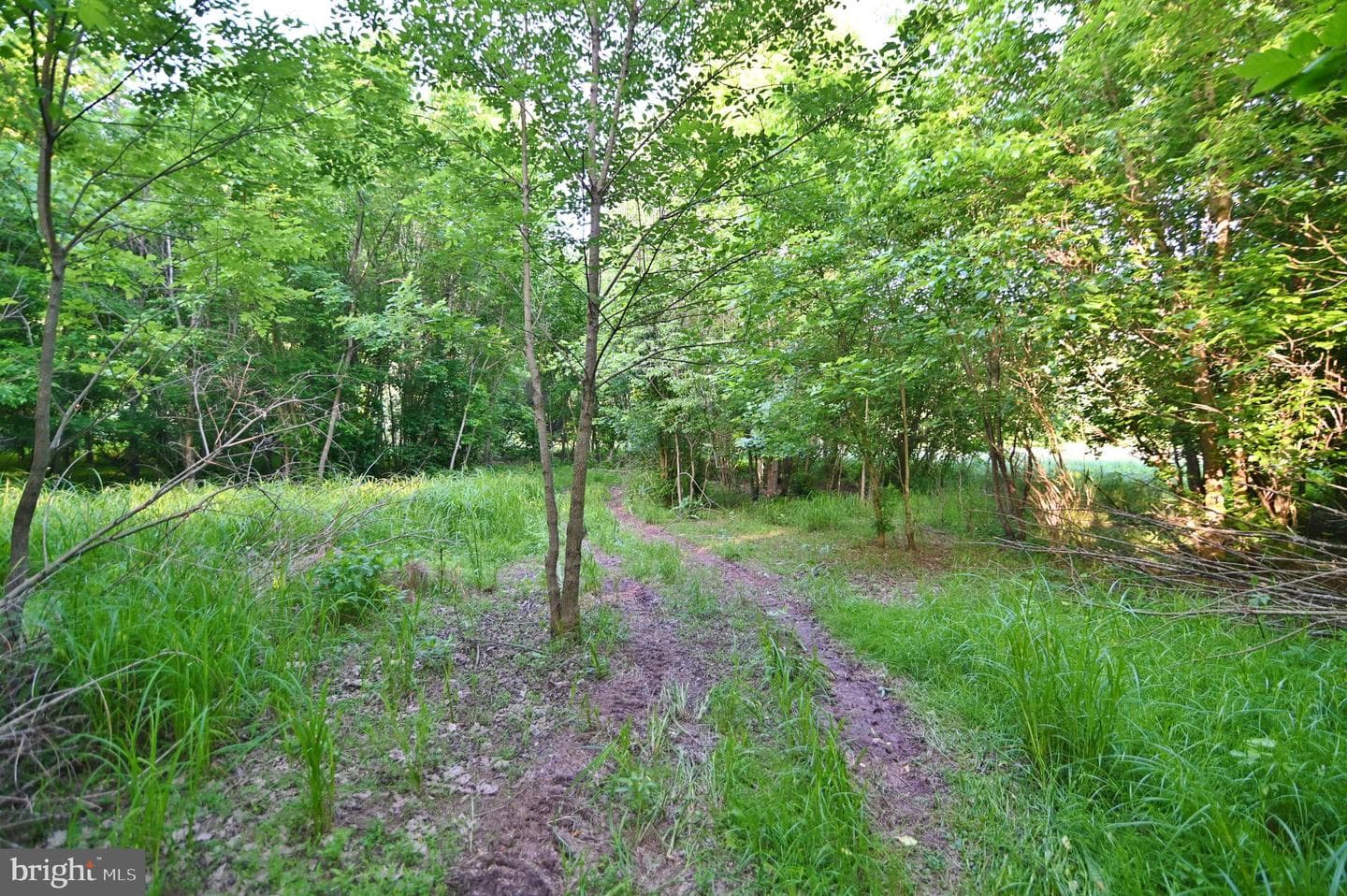 429 Hickory Lane photo 49