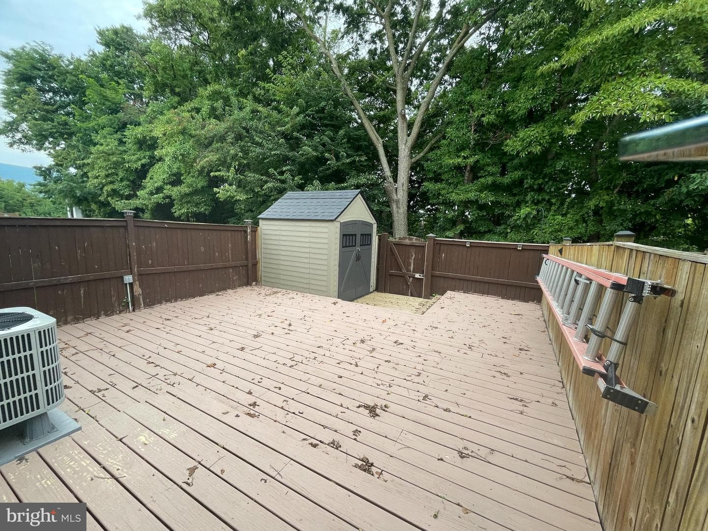 206 Kadies Lane photo 3