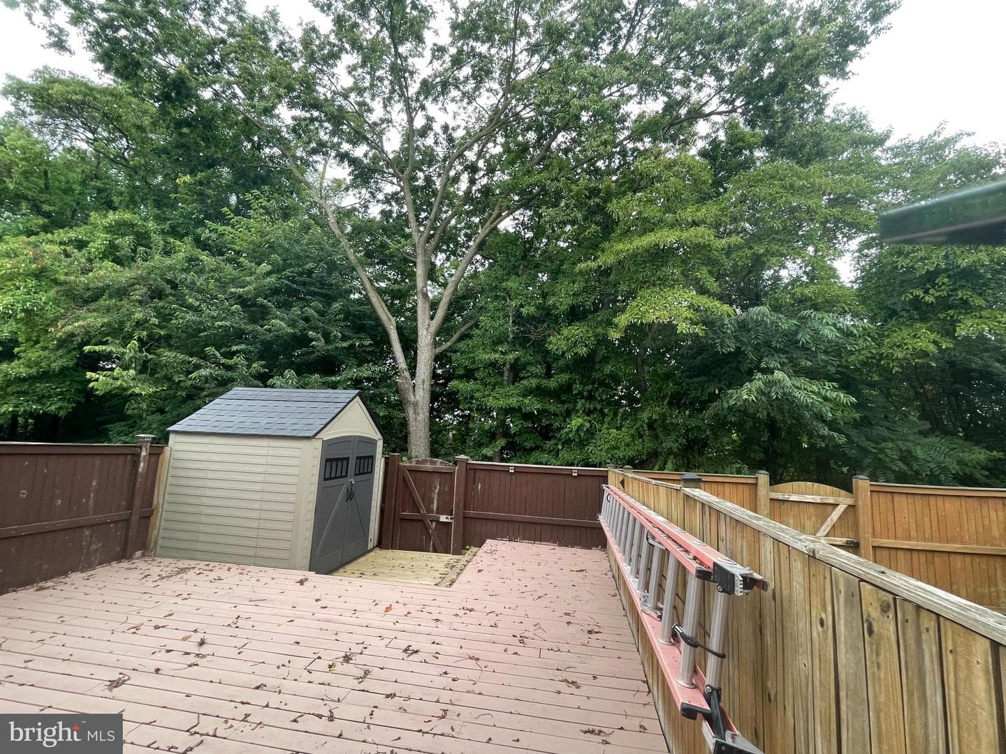 206 Kadies Lane photo 4
