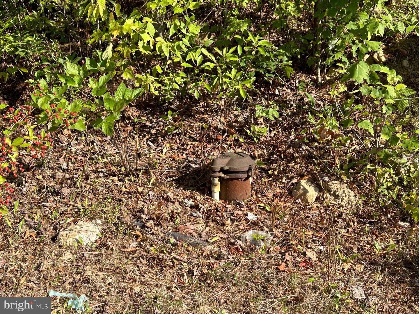 918 Mine Mountain Lane photo 18