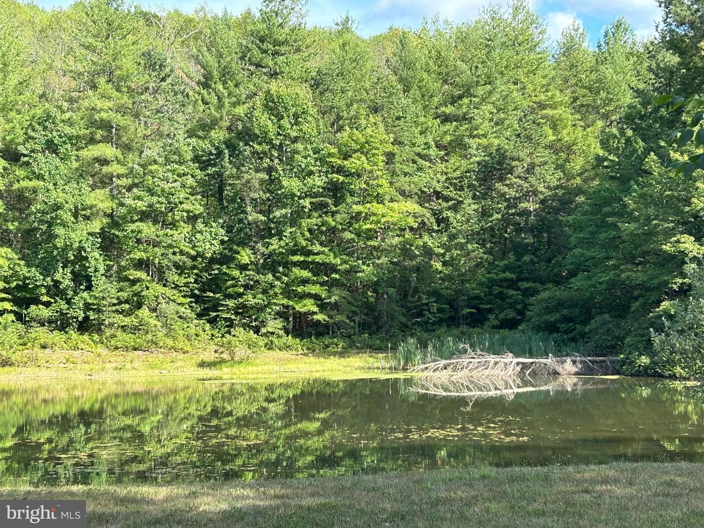 918 Mine Mountain Lane photo 21