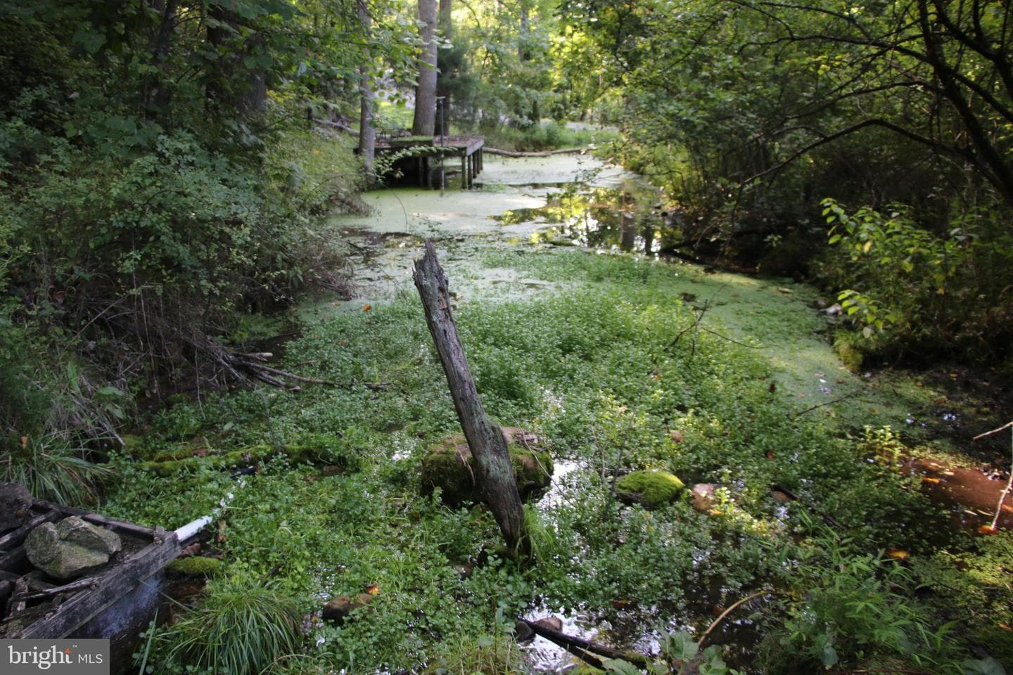 888 Wolf Gap Road photo 10