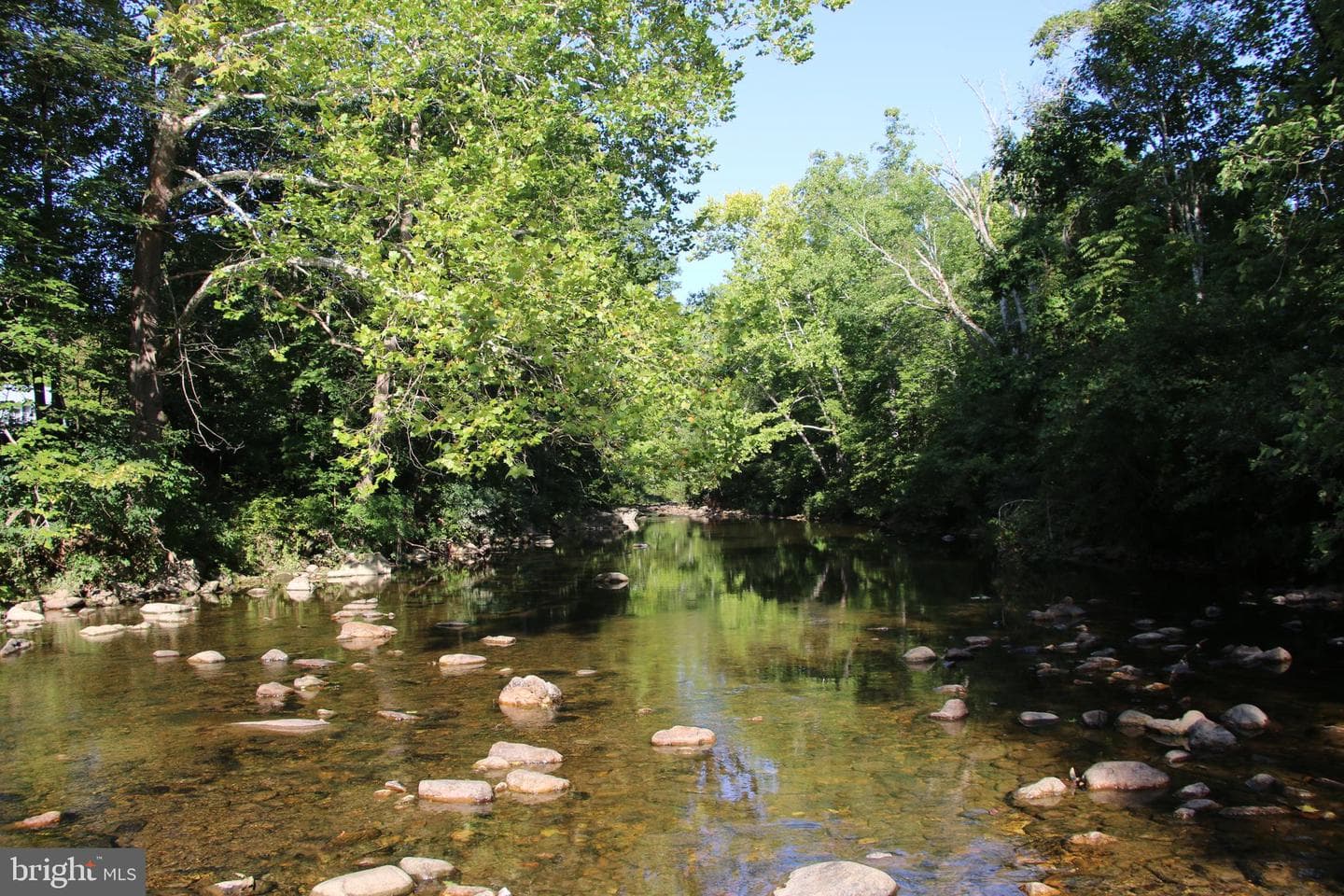 888 Wolf Gap Road photo 19
