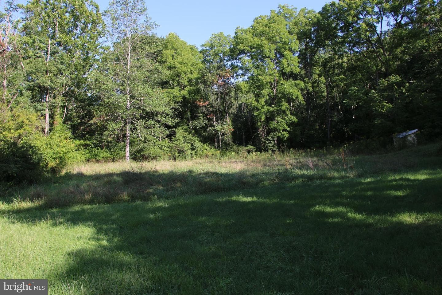 888 Wolf Gap Road photo 20