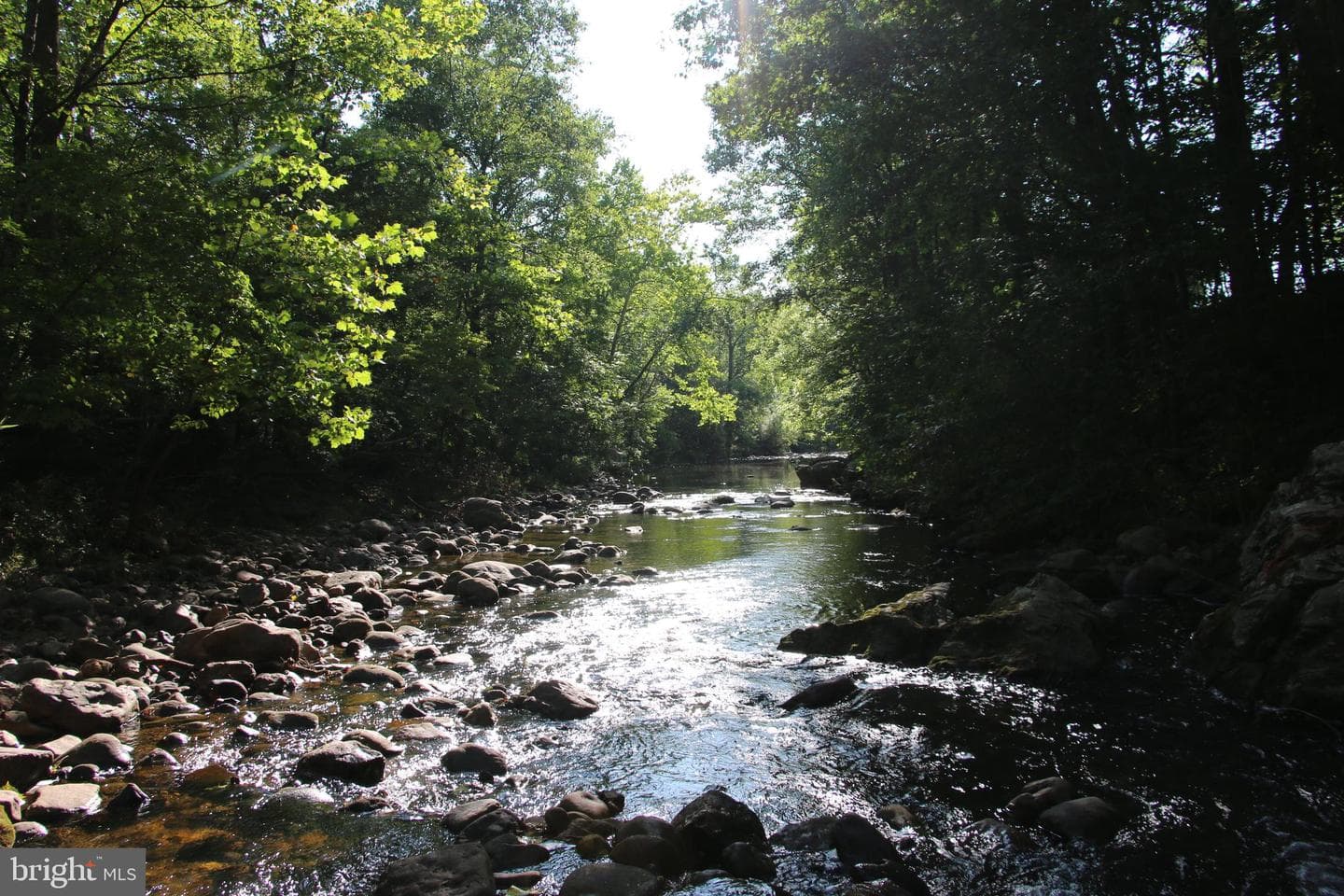 888 Wolf Gap Road photo 23