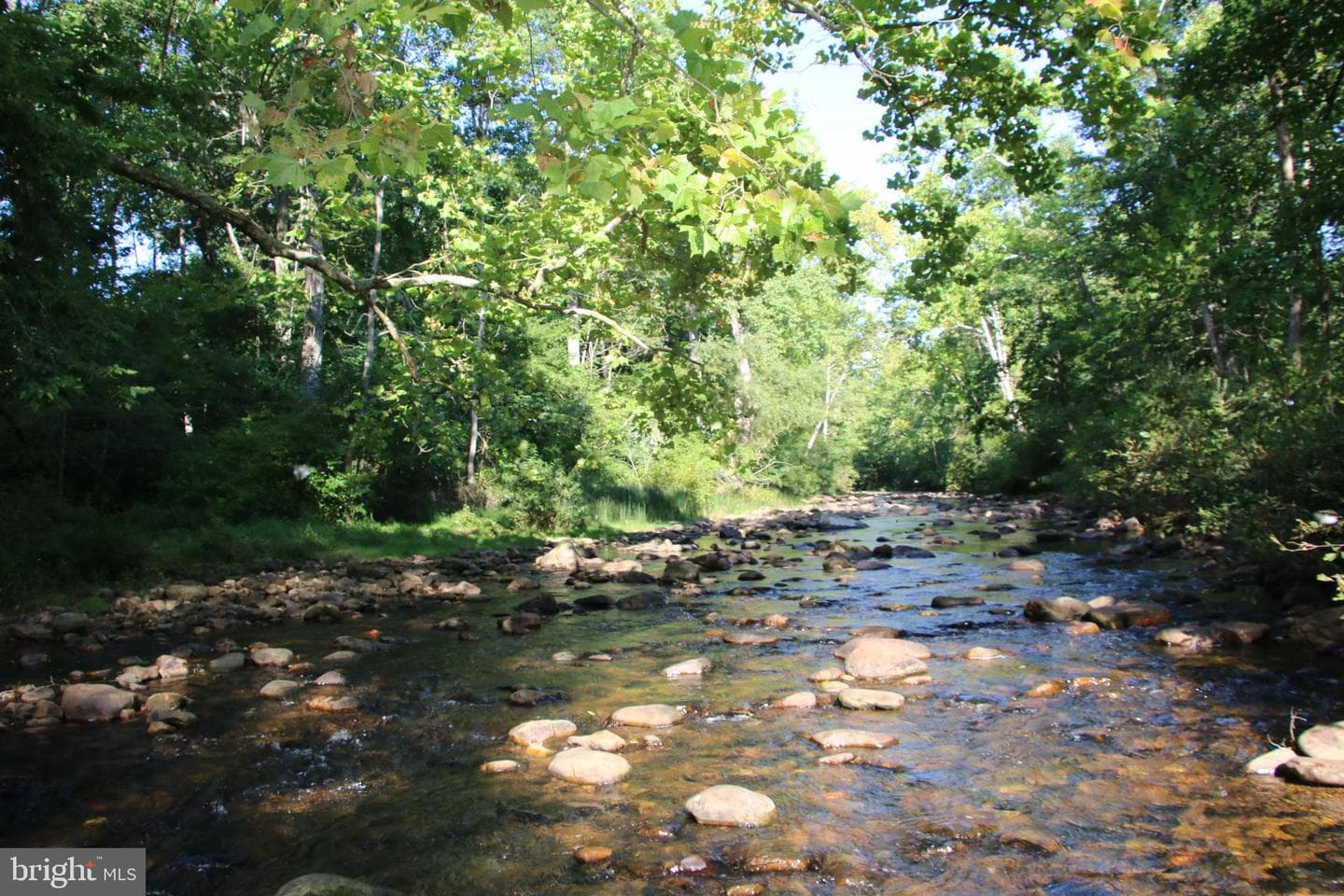888 Wolf Gap Road photo 7