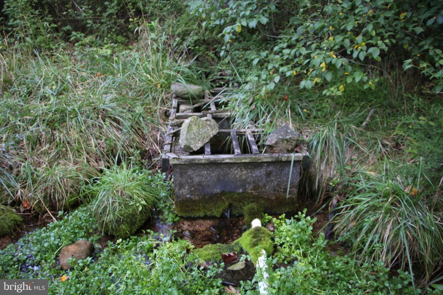 888 Wolf Gap Road photo 9