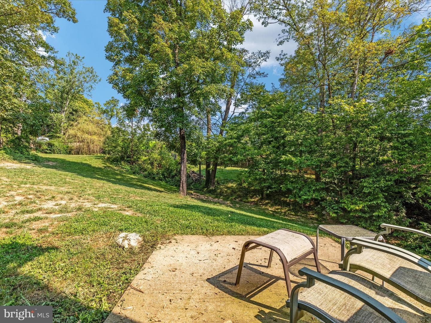 141 Black Oak Drive photo 42