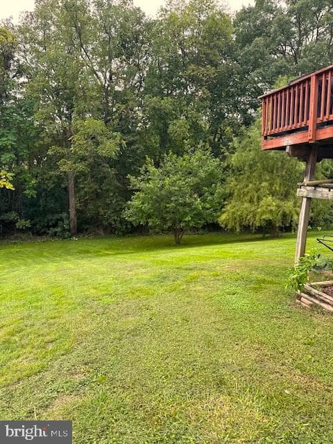 154 Baer Oak Drive photo 37