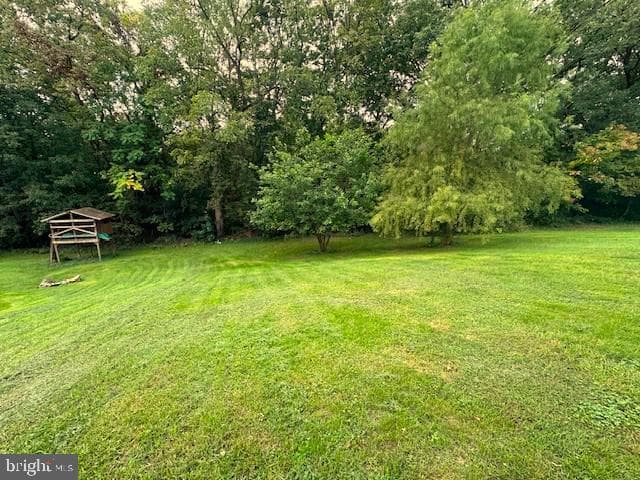 154 Baer Oak Drive photo 5