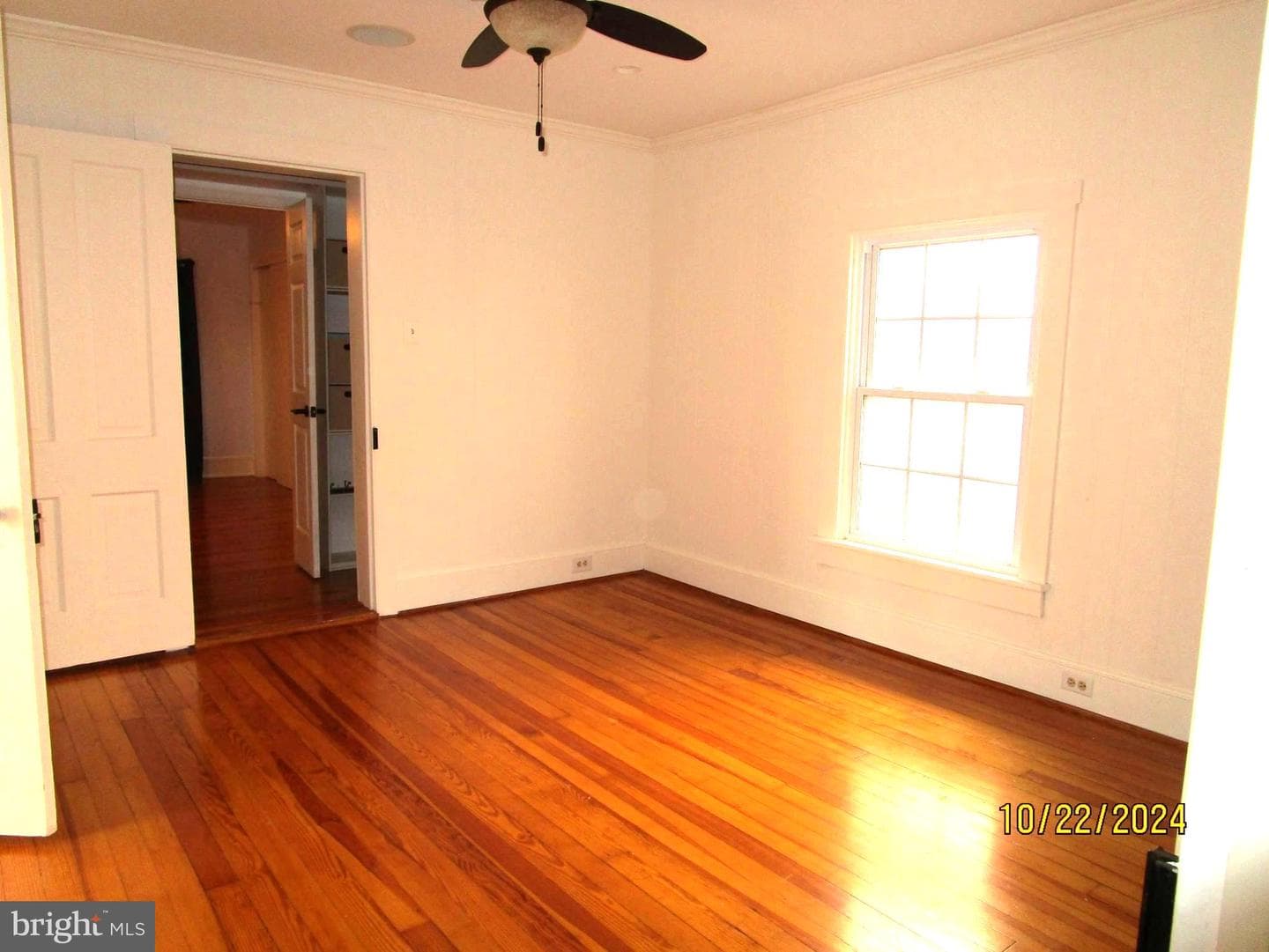 145 Holliday Street S photo 12