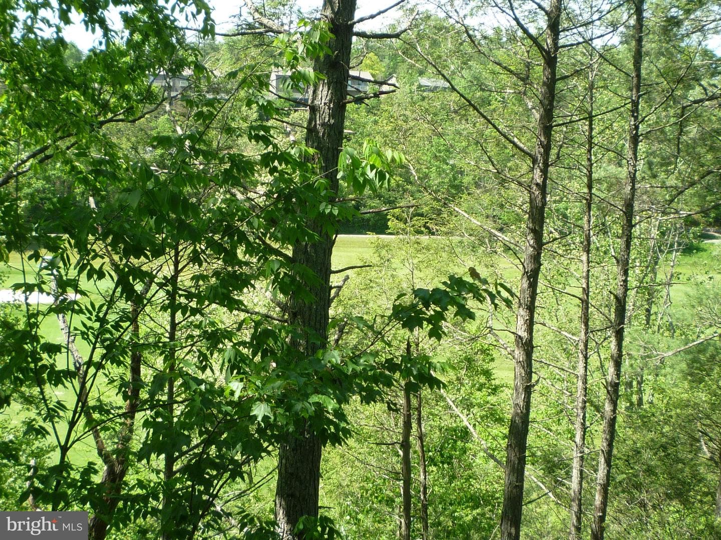 63 Fairway Drive photo 4