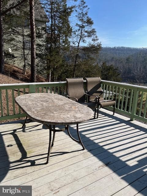 231 Resort Drive photo 11