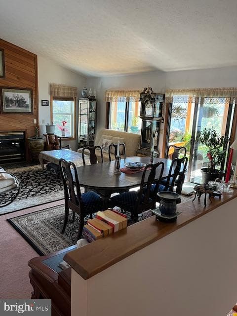 231 Resort Drive photo 19