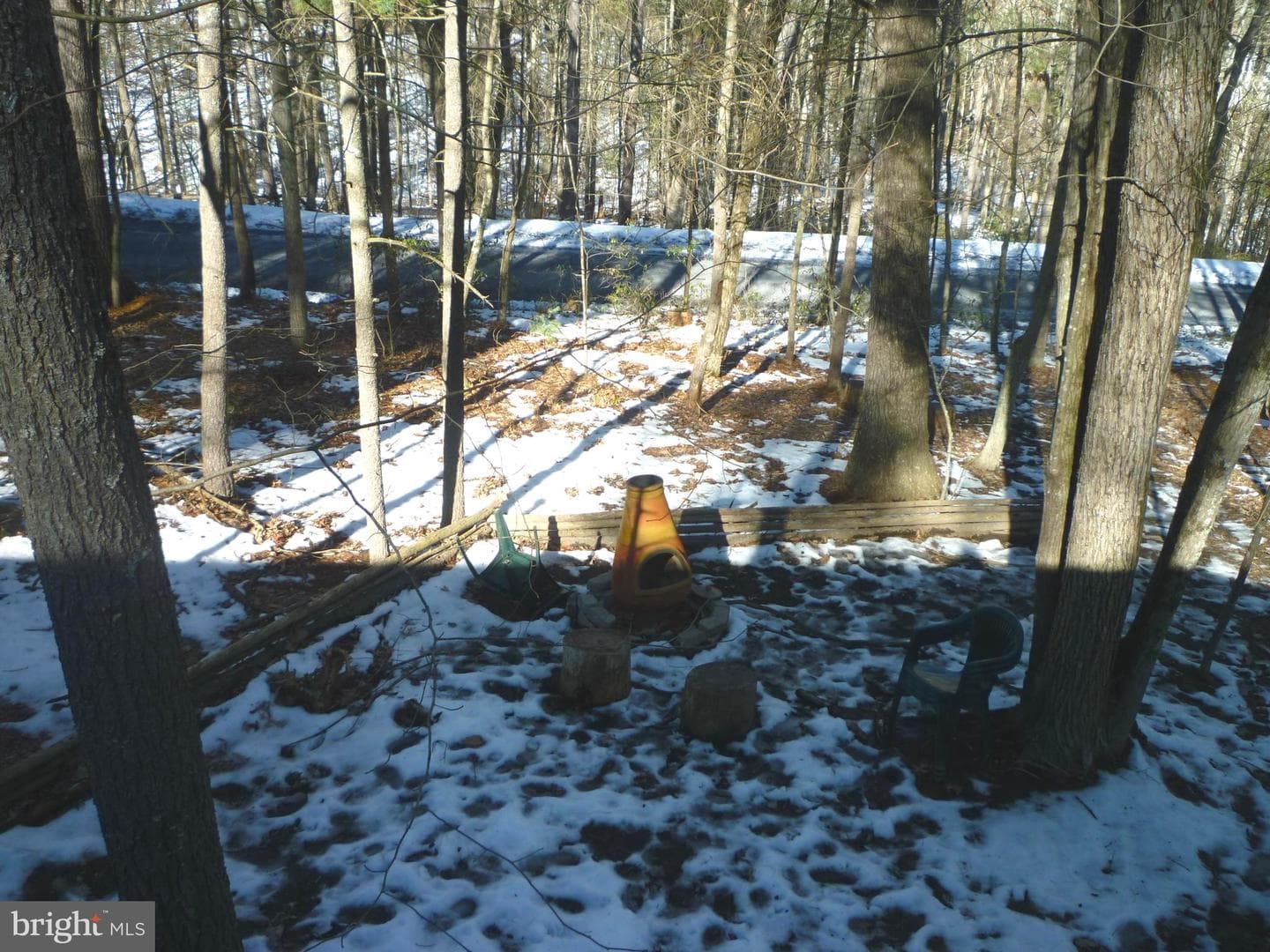 567 Basswood Lane photo 5