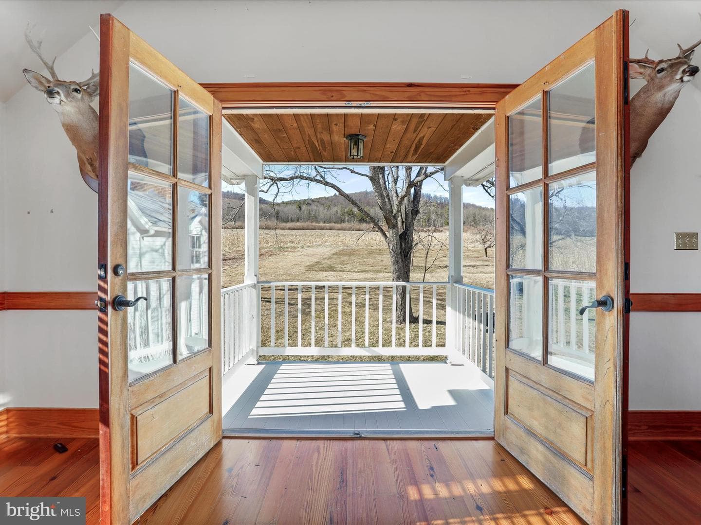 329 Miller Road photo 53