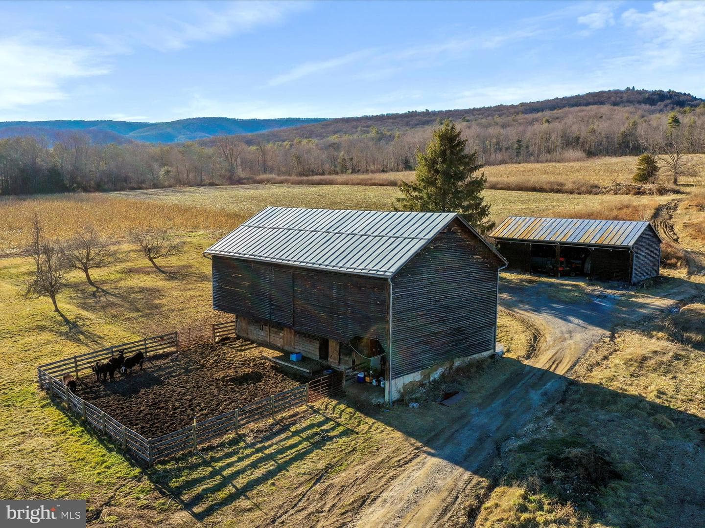 329 Miller Road photo 92
