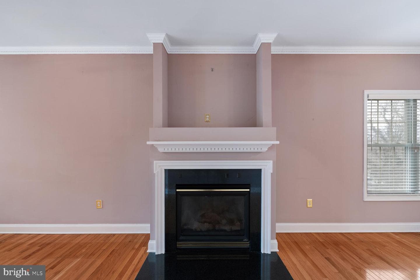 141 Donna Drive photo 15