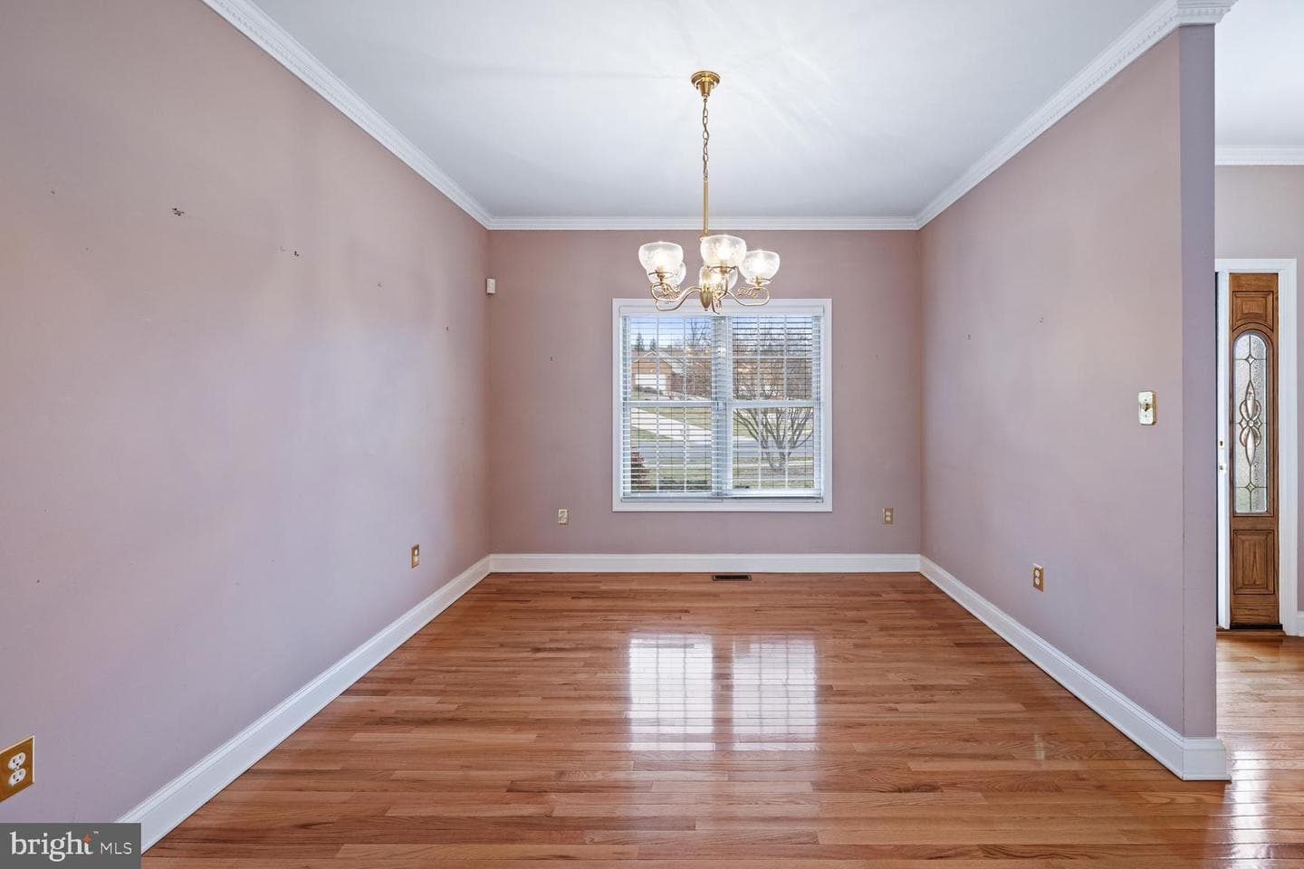 141 Donna Drive photo 20