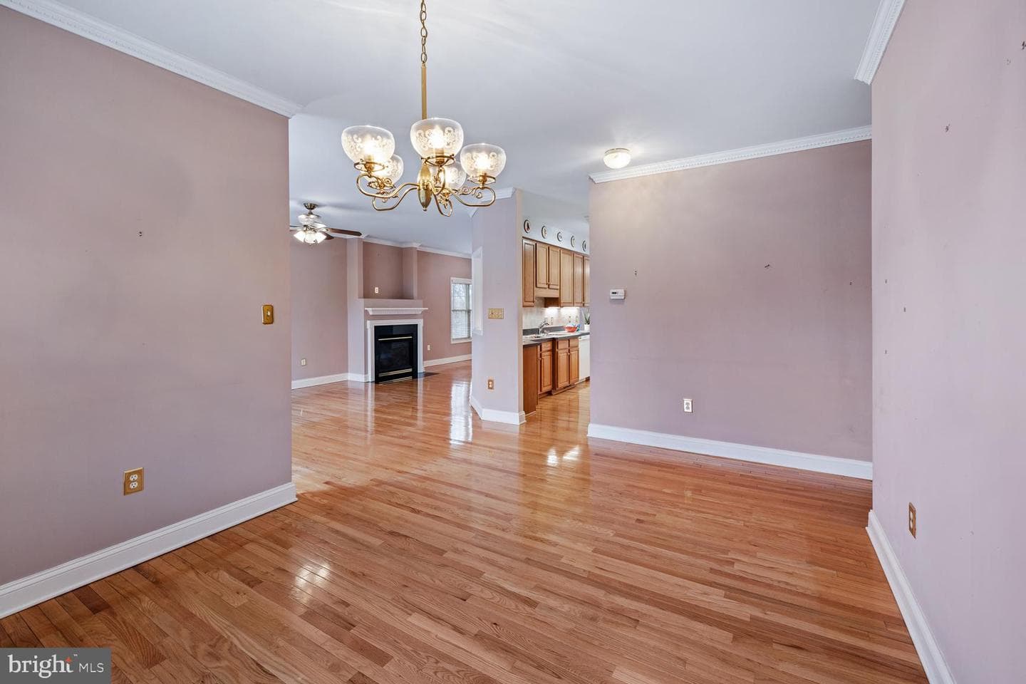 141 Donna Drive photo 21