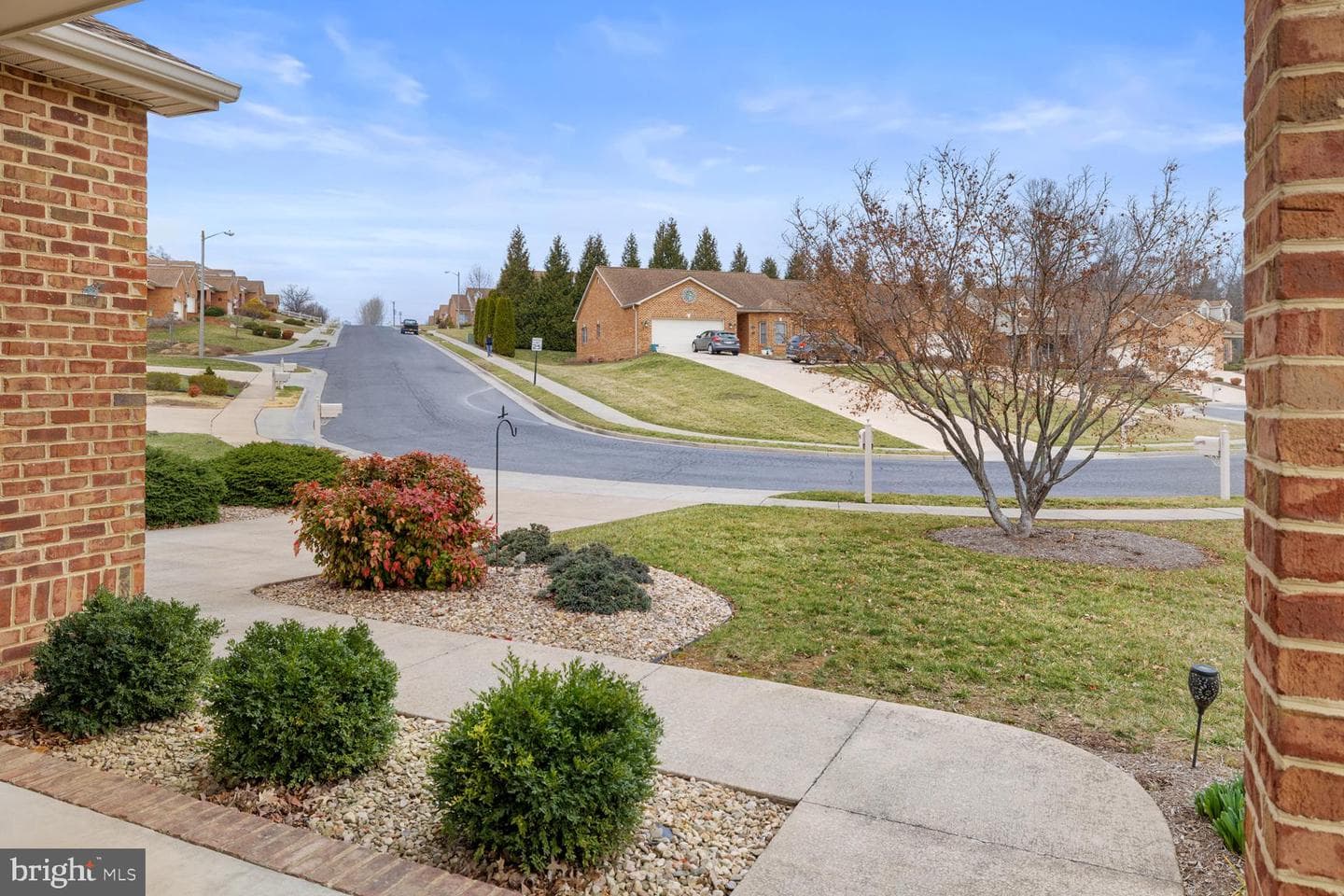 141 Donna Drive photo 3