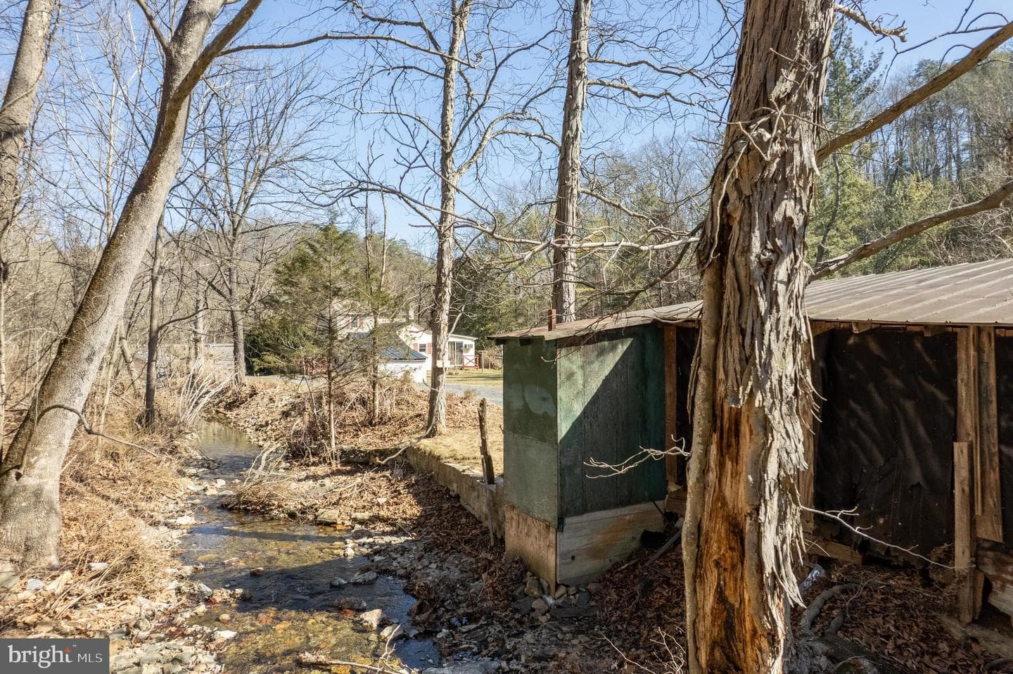 4383 Turkey Run Road photo 19