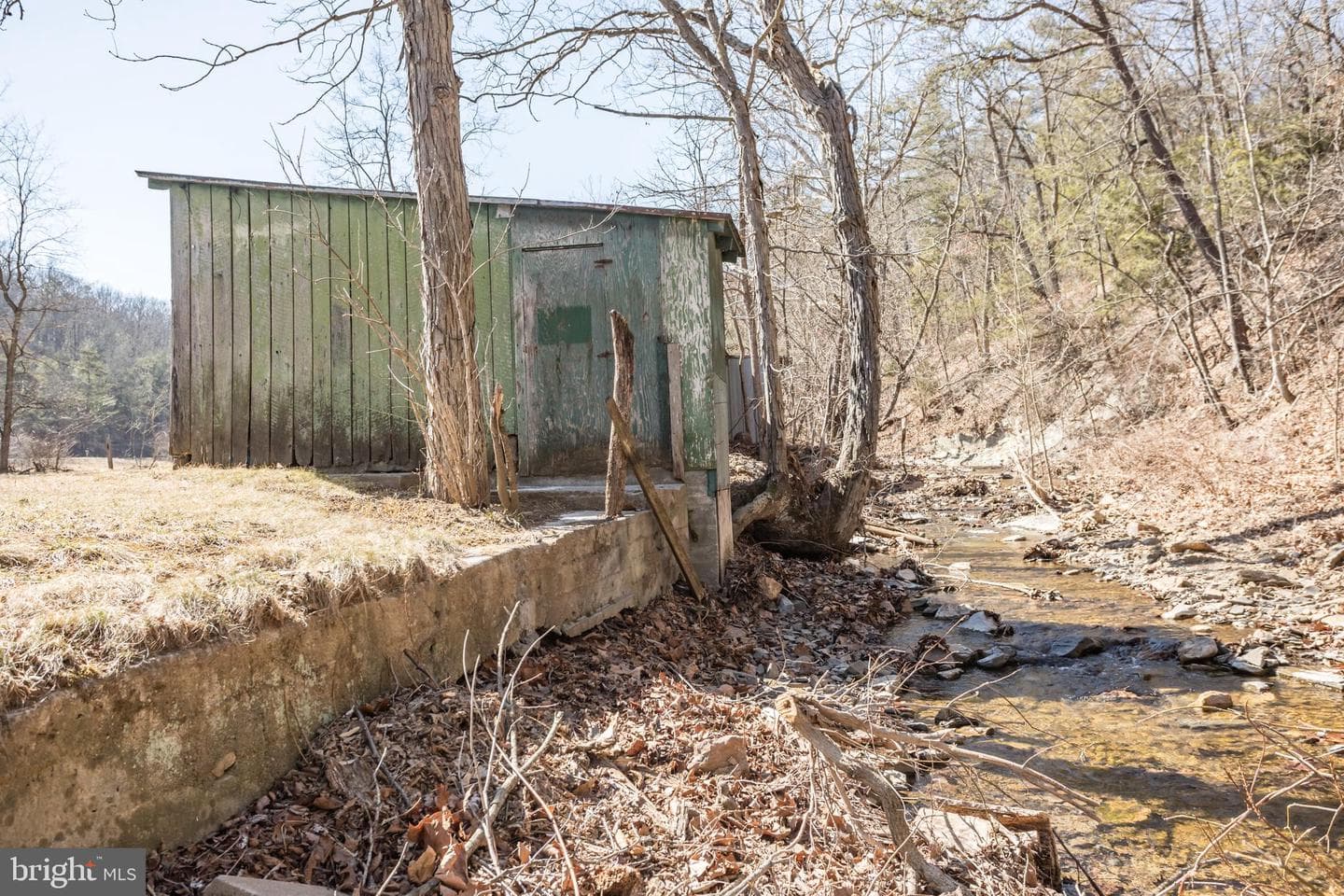 4383 Turkey Run Road photo 39