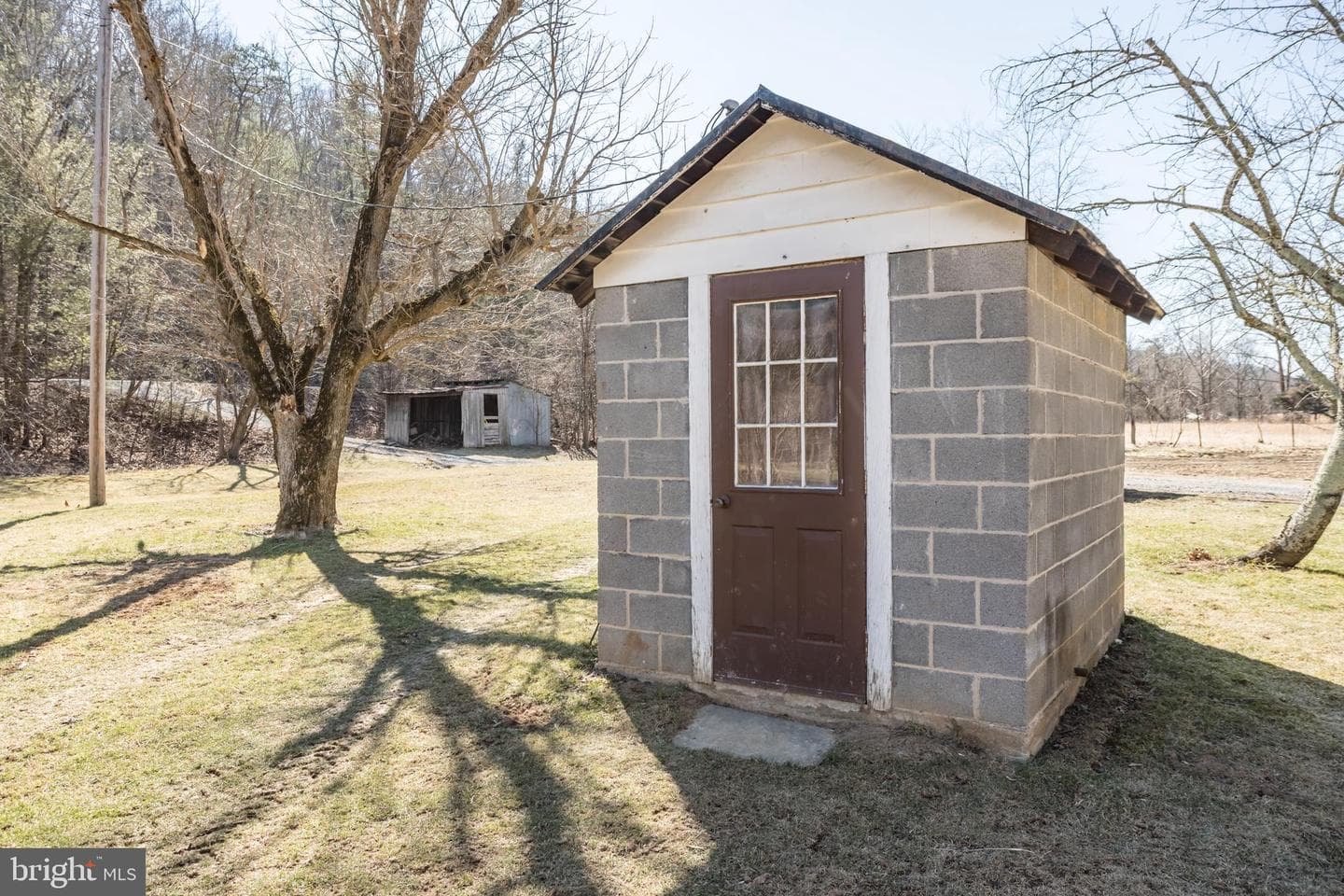 4383 Turkey Run Road photo 53