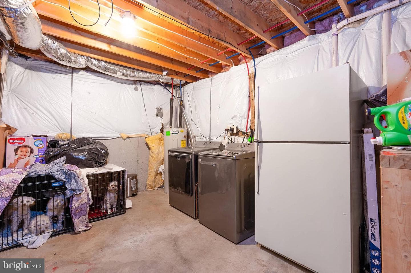 167 Wise Avenue photo 28