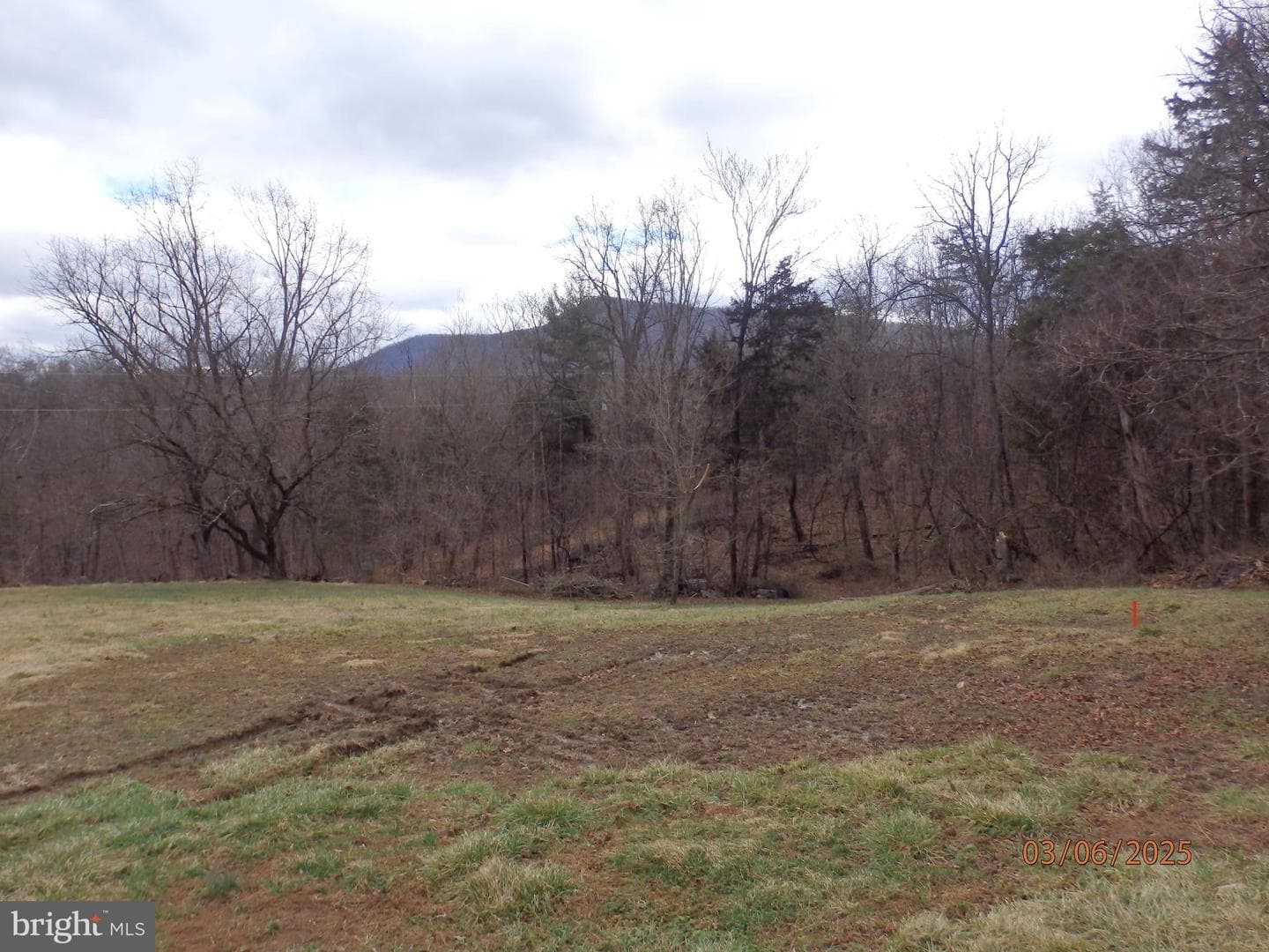 628 Bowman Mill Road photo 6