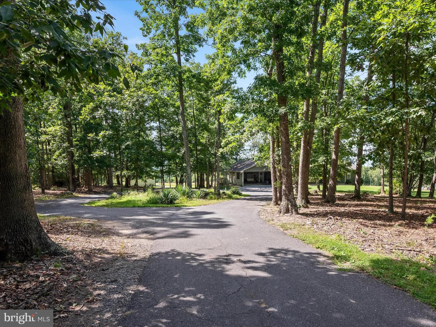 5409 Smith Creek Road photo 11