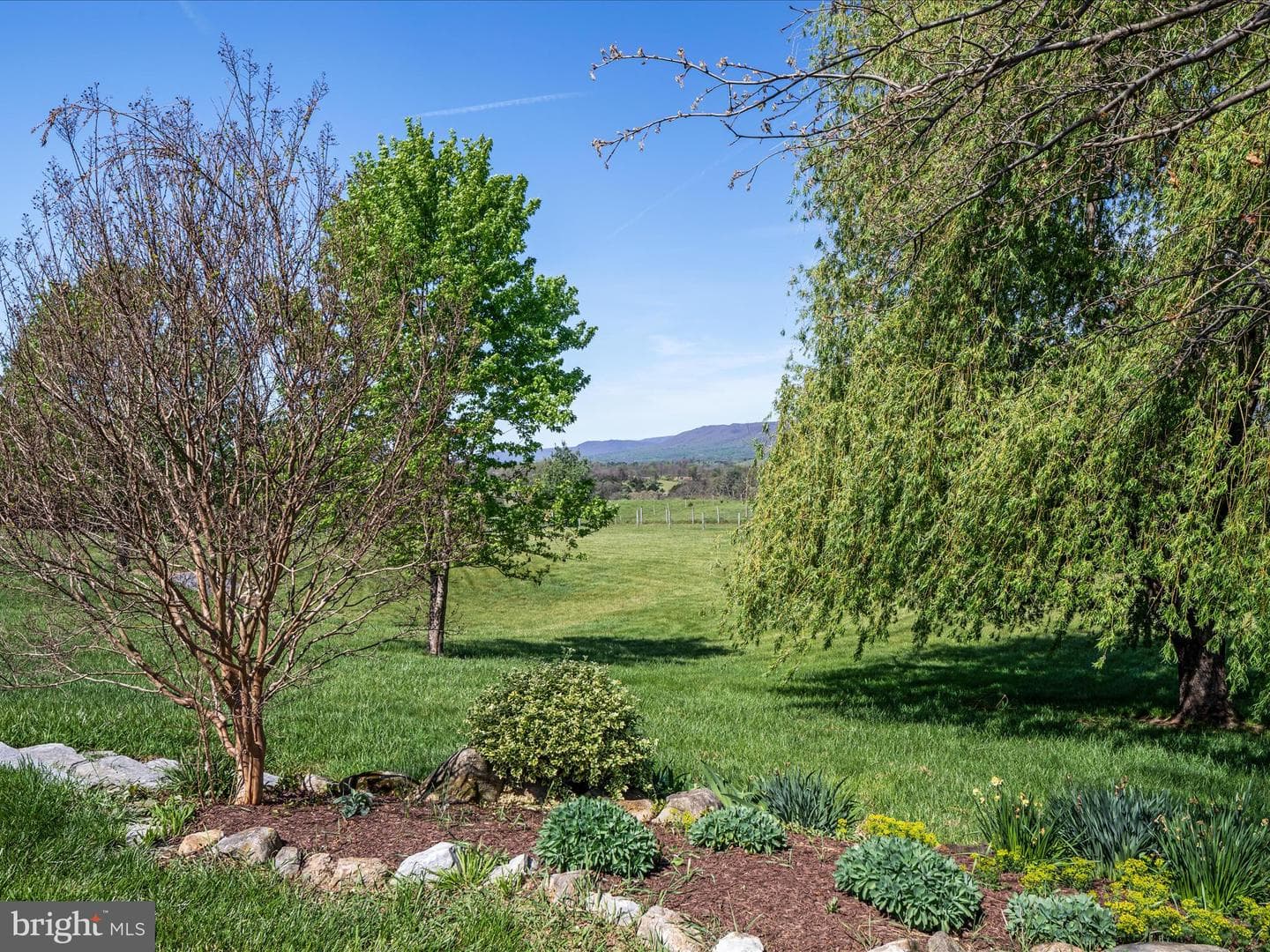 394 Brook Creek Road photo 52