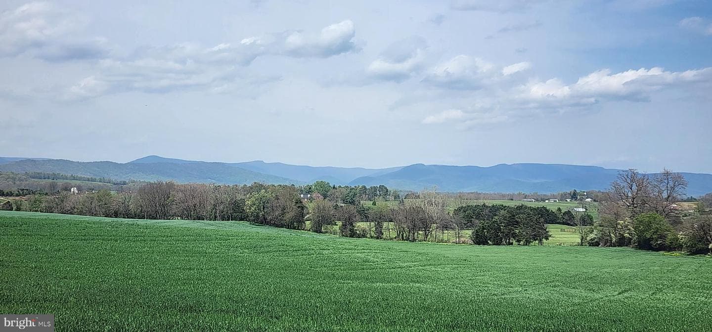 486 Hamburg Road photo 30