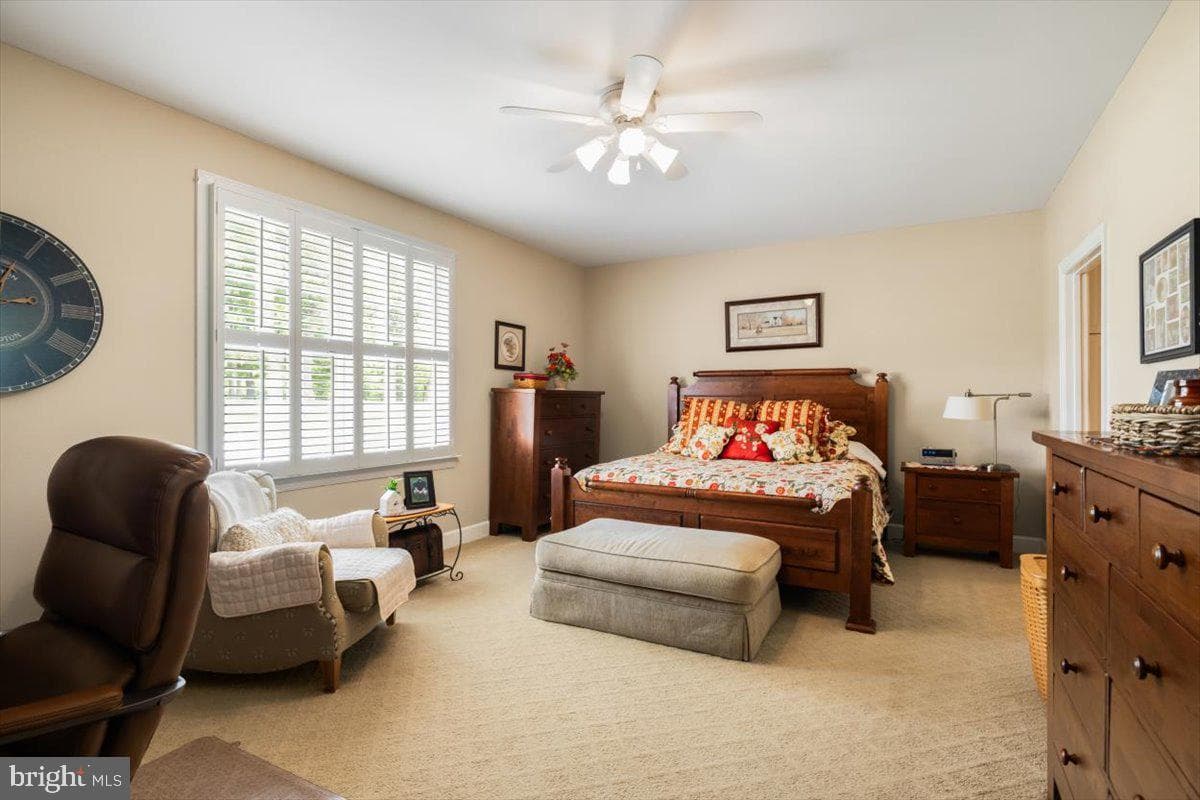 236 Stony Pointe Way photo 14