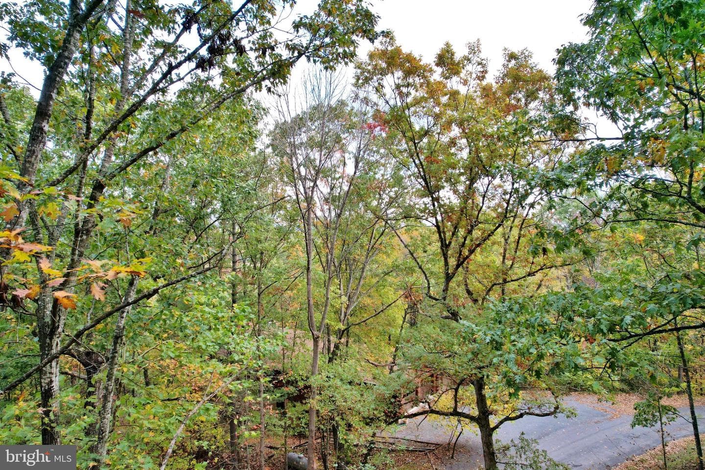 139 Laura Court photo 45