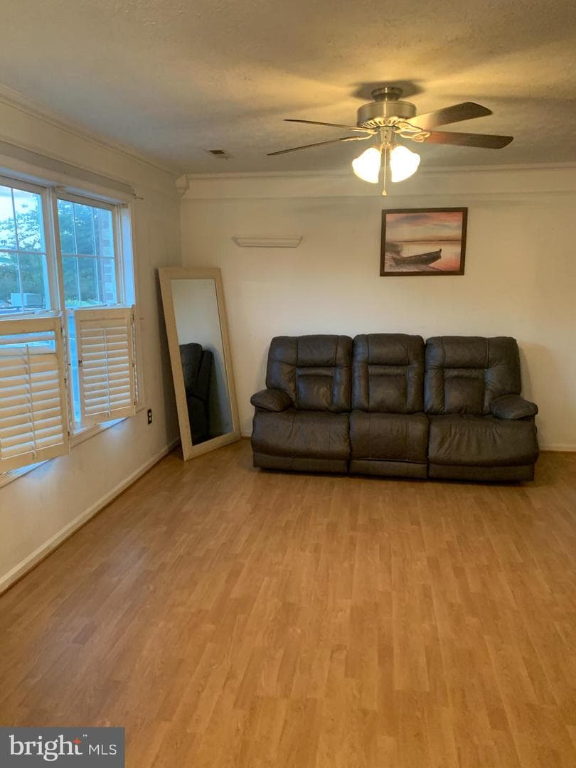1170 Hisey Avenue photo 4