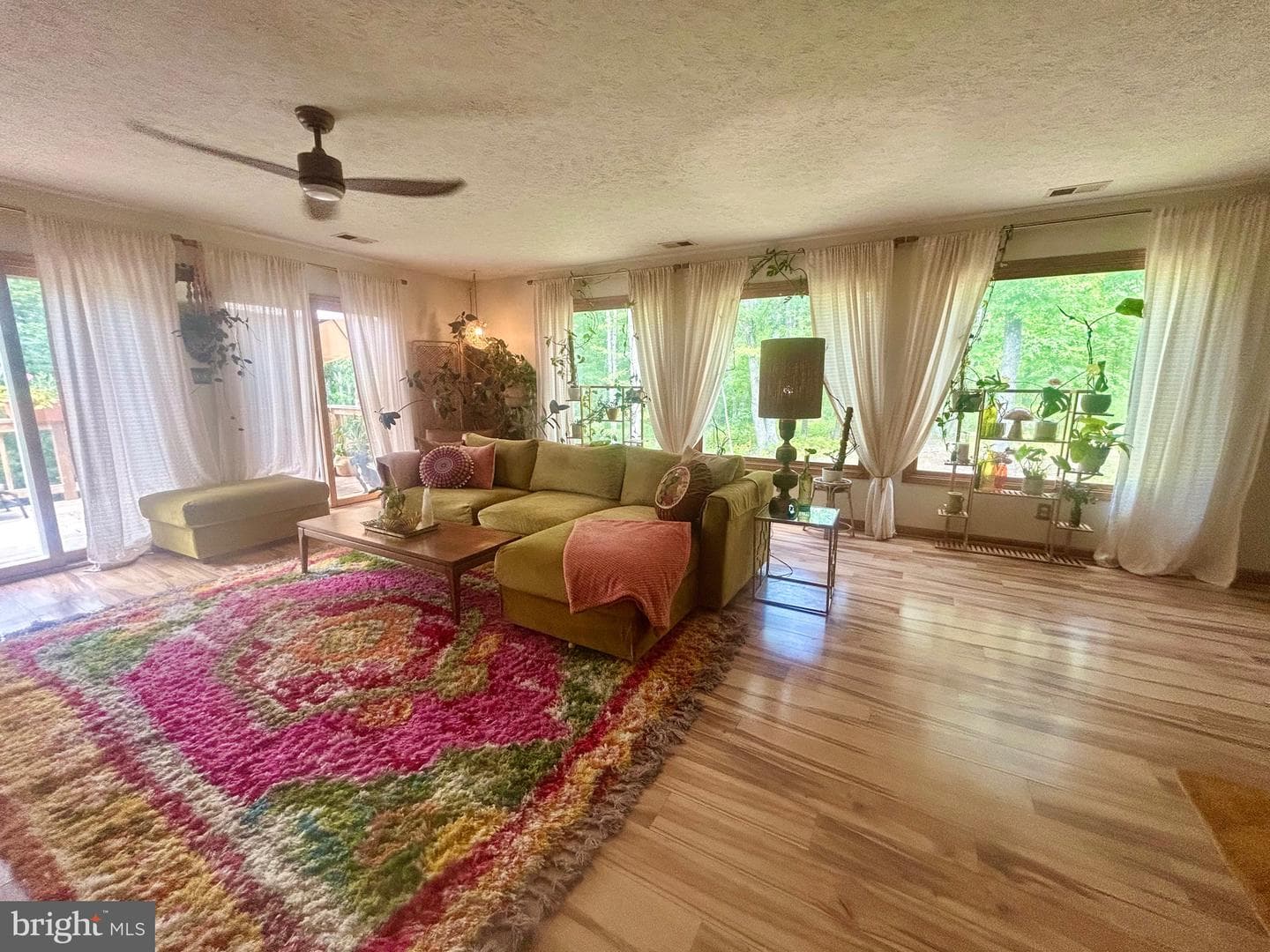 415 Rolly Road photo 14