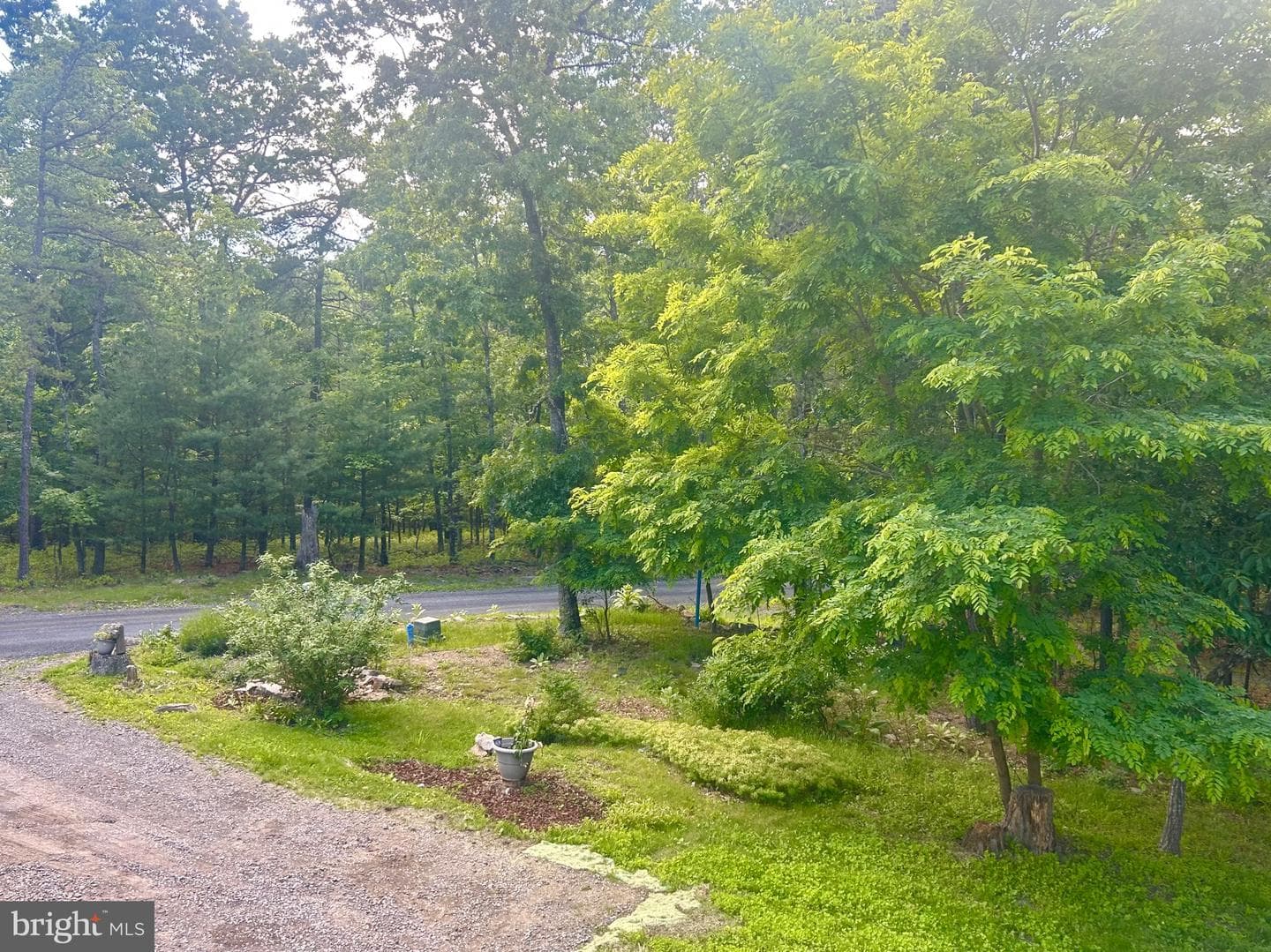 415 Rolly Road photo 16