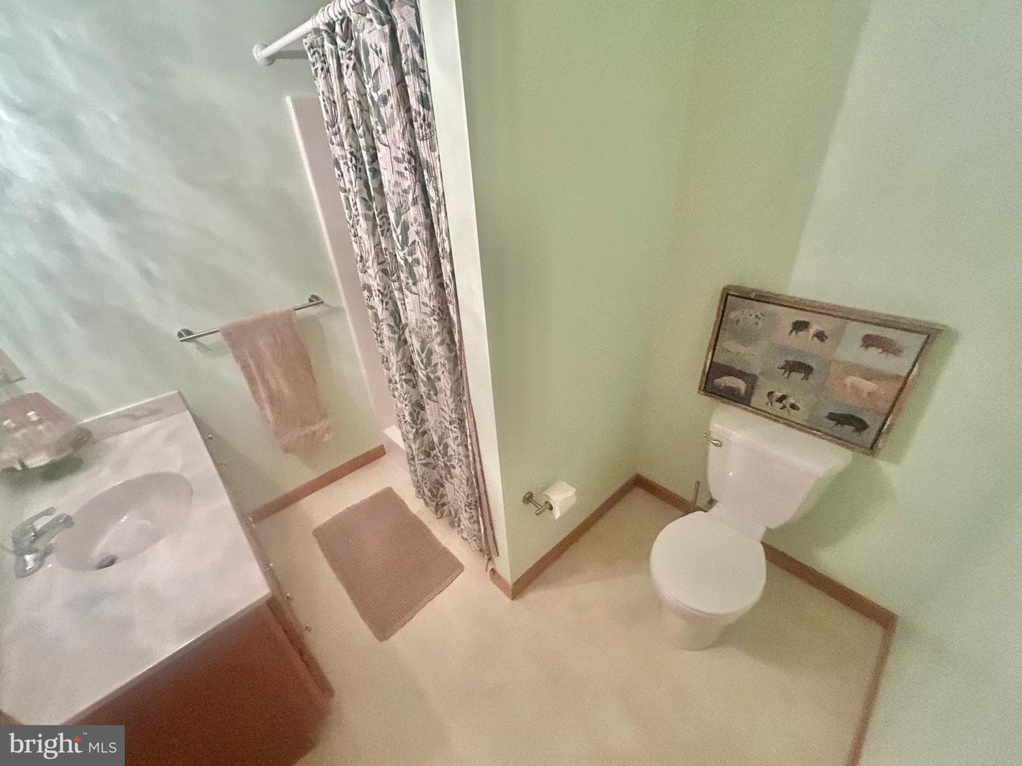 415 Rolly Road photo 37