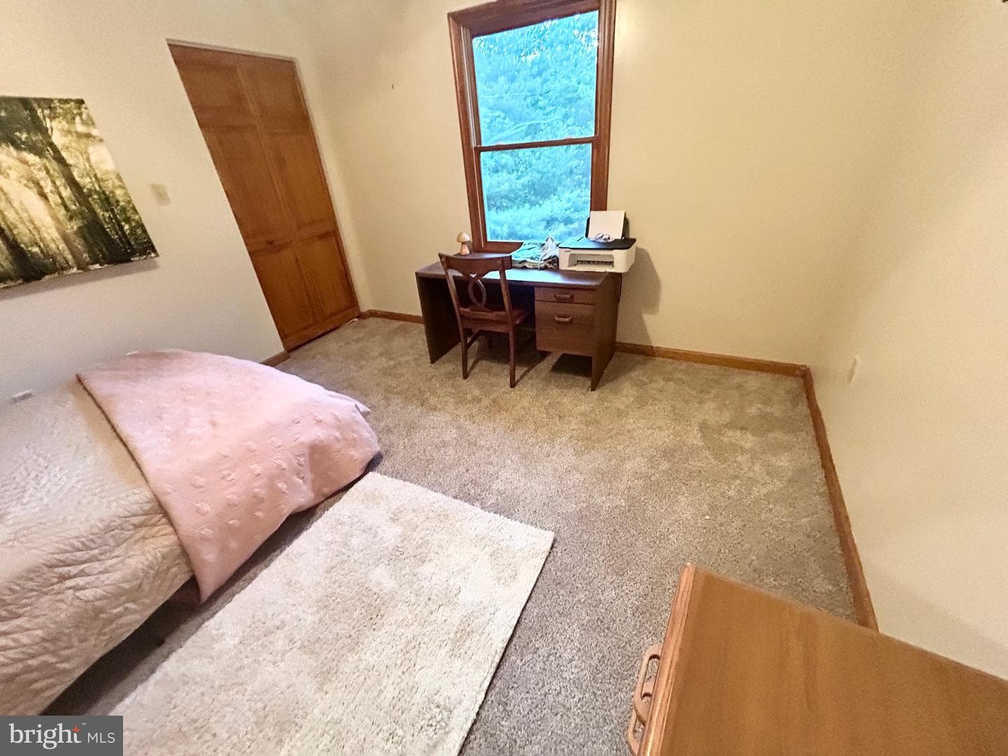 415 Rolly Road photo 39