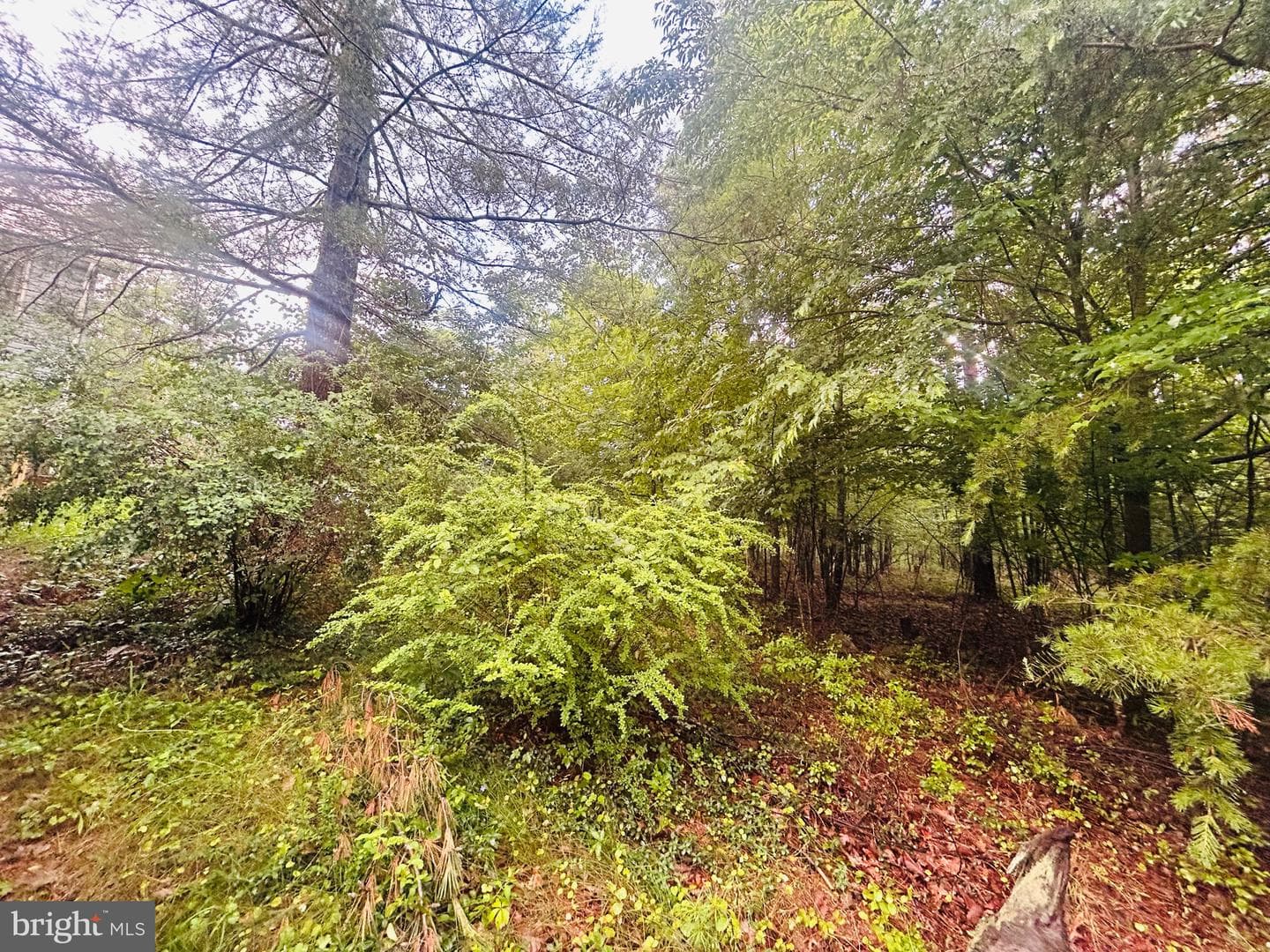 415 Rolly Road photo 62