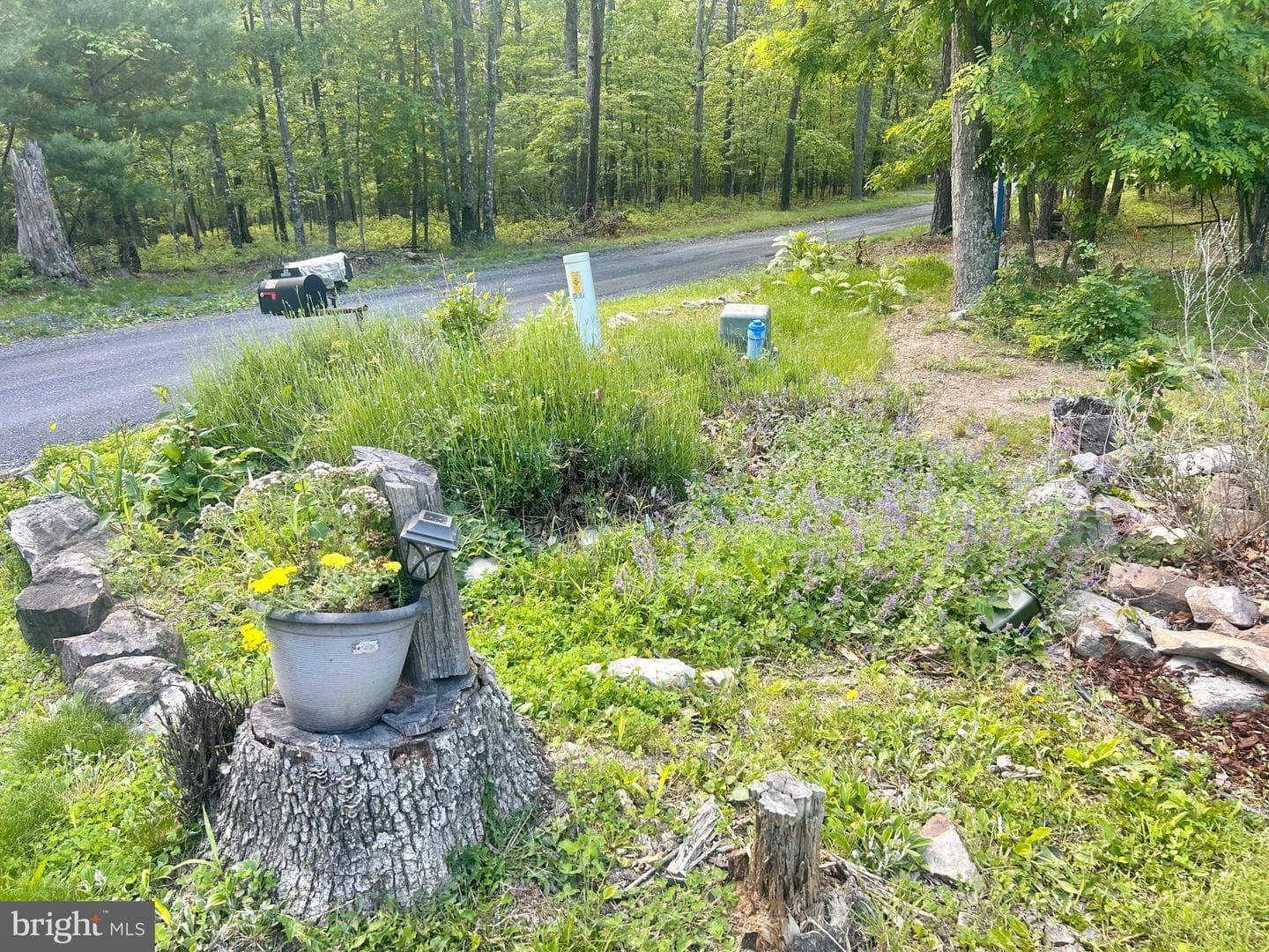 415 Rolly Road photo 9