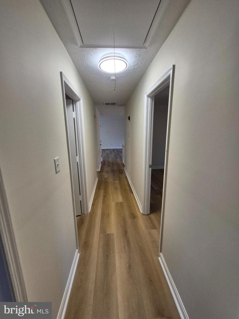 41 Birchwood Drive photo 14