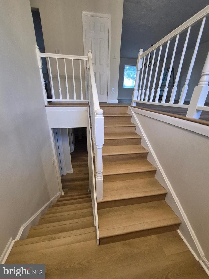 41 Birchwood Drive photo 3