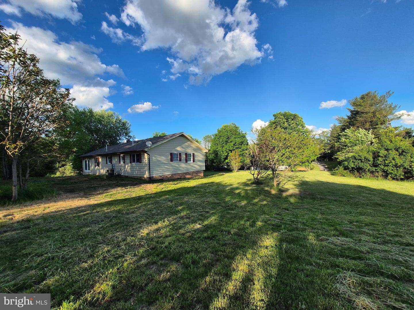 41 Birchwood Drive photo 56
