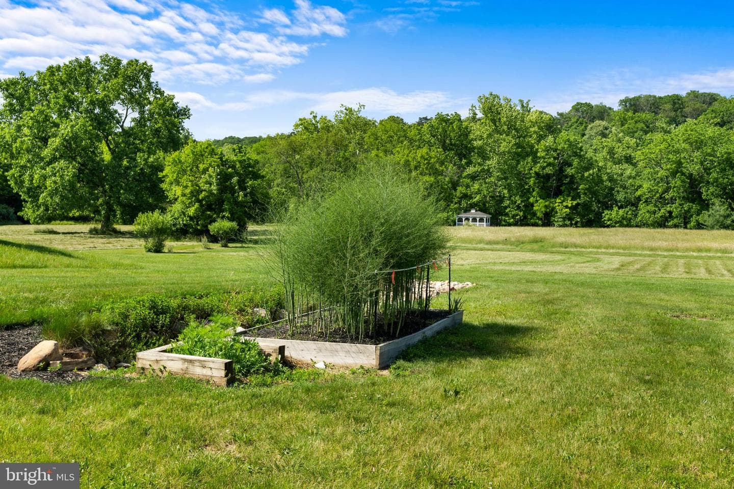 501 Forest View Road photo 53