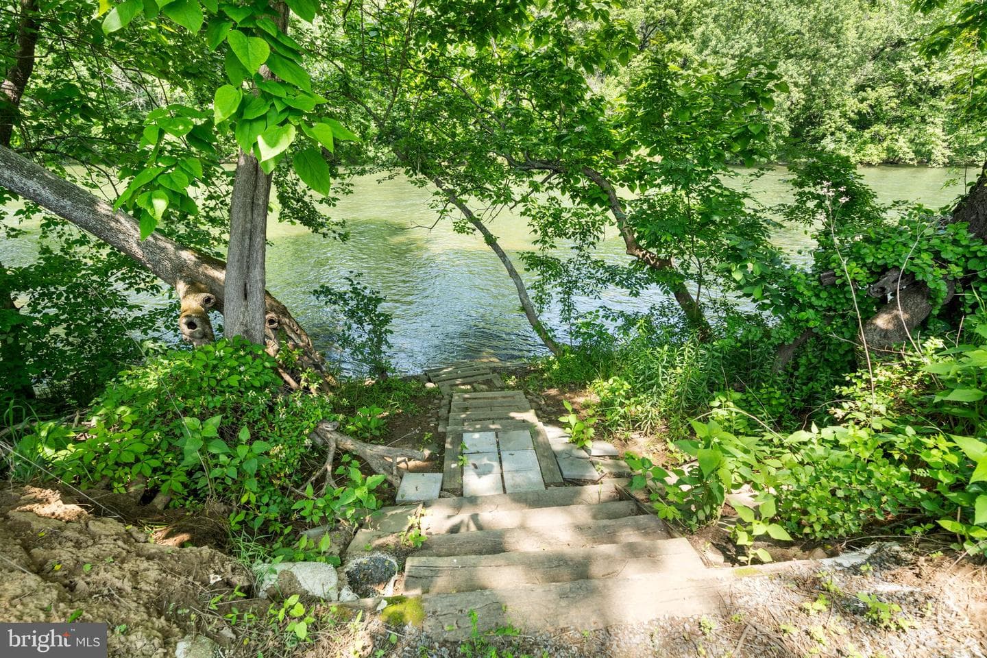 501 Forest View Road photo 65